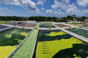 FGV promove webinar sobre saneamento básico no estado do Amazonas