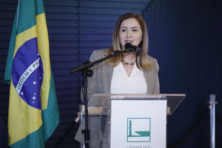 Socorro Neri defende simplificação de metas prioritárias no novo Plano Nacional de Educação