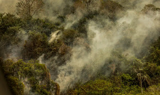 Incêndios podem ter degradado 9% do Pantanal nos últimos cinco anos
