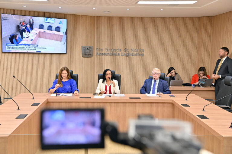 Comissão do Consumidor e Direitos Humanos aprova projetos em defesa da mulher e LGBTQI+