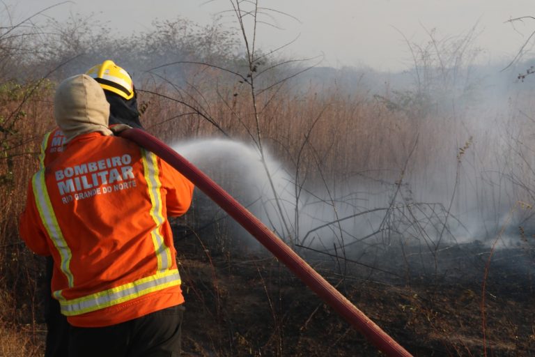 Bombeiros do RN atenderam 24 ocorrências de incêndio em vegetação em Assú e outros municípios no fim de semana