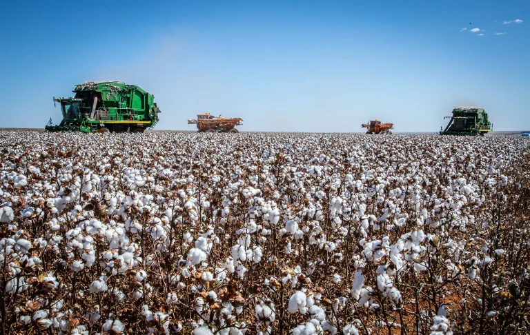 Compra de máquinas agrícolas e veículos lideram liberação de emendas em 2025