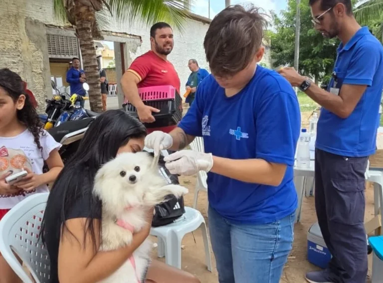 Campanha antirrábica já vacinou 52 mil animais em Natal