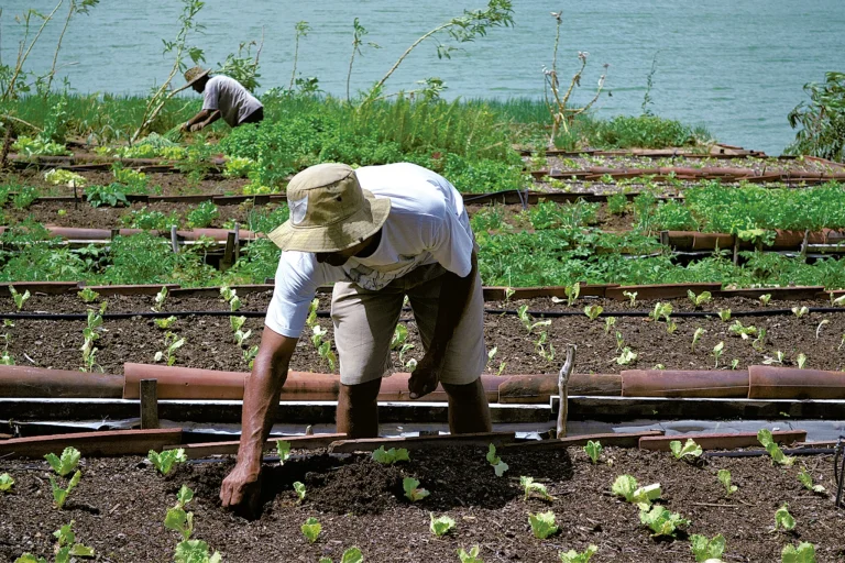 Crédito rural para agricultura familiar soma R$ 716 mi no RN